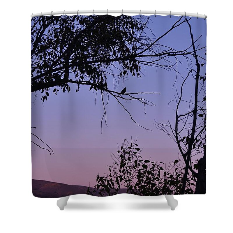 Linda Brody Shower Curtain featuring the photograph Purple Sunset with Tree and Bird Silhouette by Linda Brody