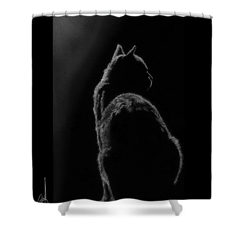 Pencil Shower Curtain featuring the drawing Pussy Cat by Murphy Elliott