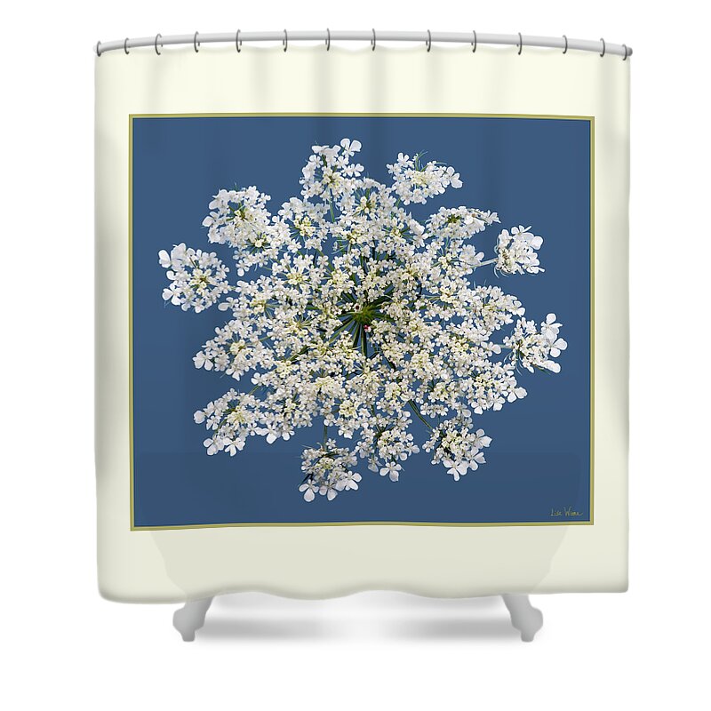 Lise Winne Shower Curtain featuring the photograph Queen Anne's Lace Flower by Lise Winne