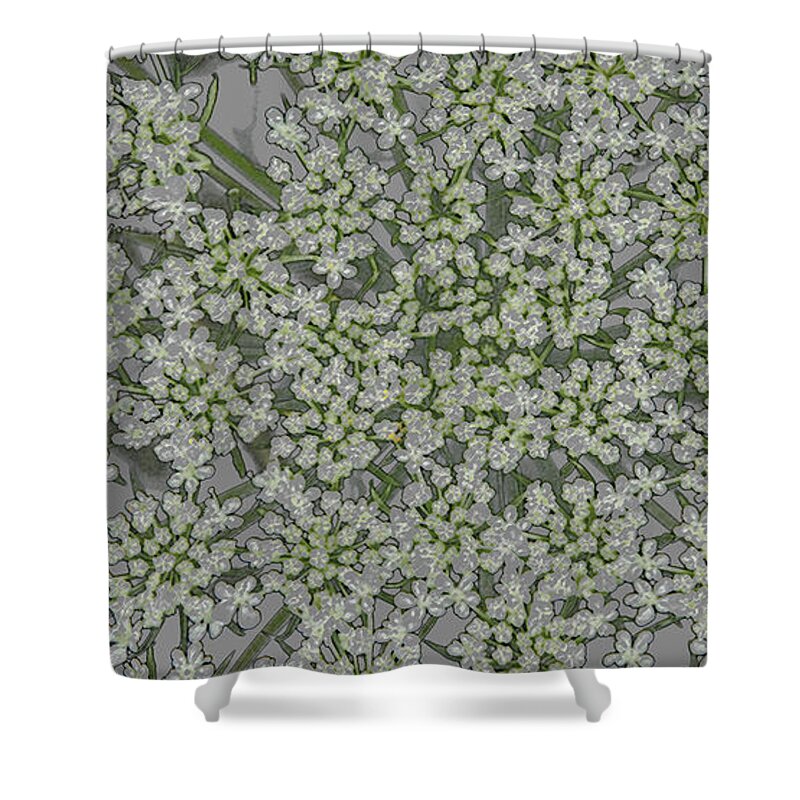 Queen Anne's Lace Shower Curtain featuring the photograph Queen Anne's Lace in Green by Ira Marcus