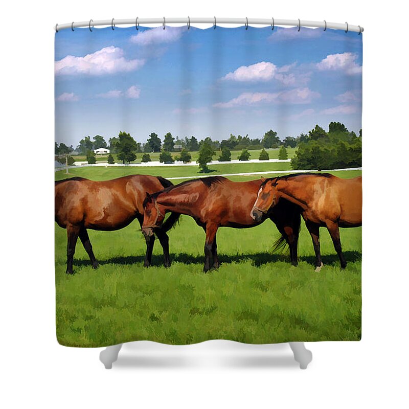 Horse Shower Curtain featuring the photograph Queens of Calumet by Sam Davis Johnson