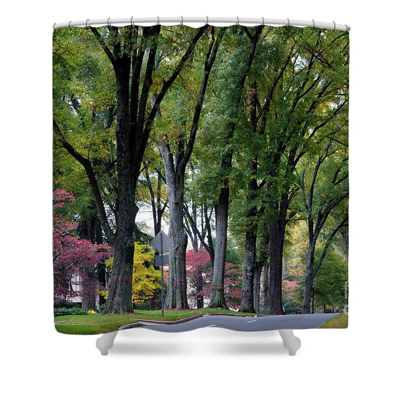 Queens Road West Shower Curtain featuring the photograph Queens Road West in the Fall by Jill Lang