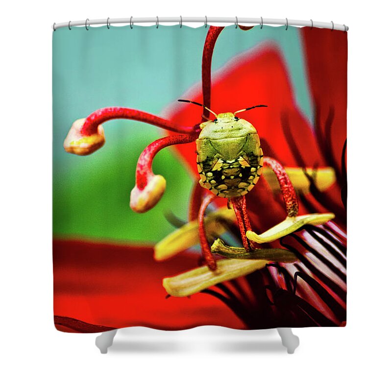 Nature Shower Curtain featuring the photograph Quilt On My Back by Christopher Holmes