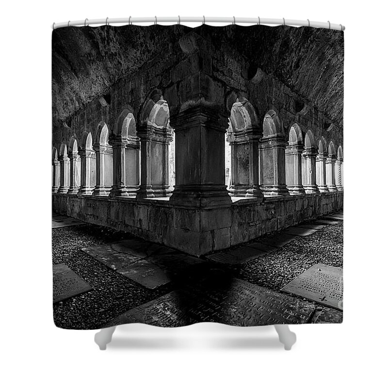 Ireland Shower Curtain featuring the photograph Quin Abbey by Dennis Hedberg
