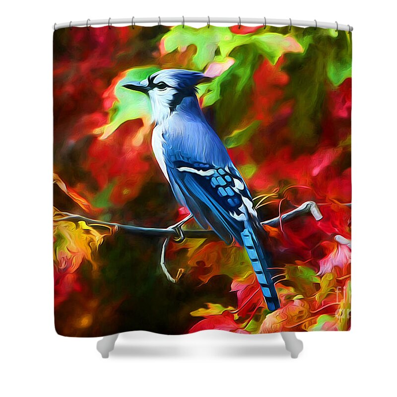 Blue Jay Shower Curtain featuring the photograph Quite Distinguished by Tina LeCour