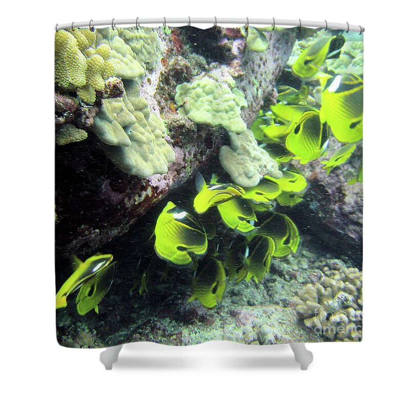 Coral Shower Curtain featuring the mixed media Raccoon Butterflyfish by Radine Coopersmith