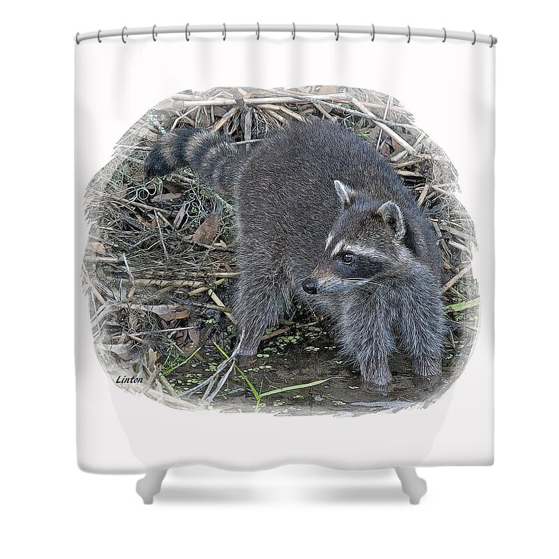 Raccoon Shower Curtain featuring the digital art Raccoon by Larry Linton