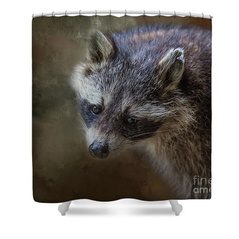 Raccoon Shower Curtain featuring the photograph Raccoon Portrait by Eva Lechner