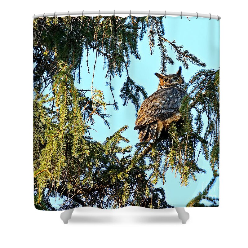 Great Horned Owl Shower Curtain featuring the photograph Radiance by Heather King