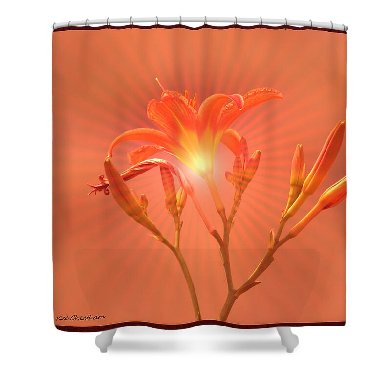 Day Lily Shower Curtain featuring the photograph Radiant Square Day Lily by Kae Cheatham