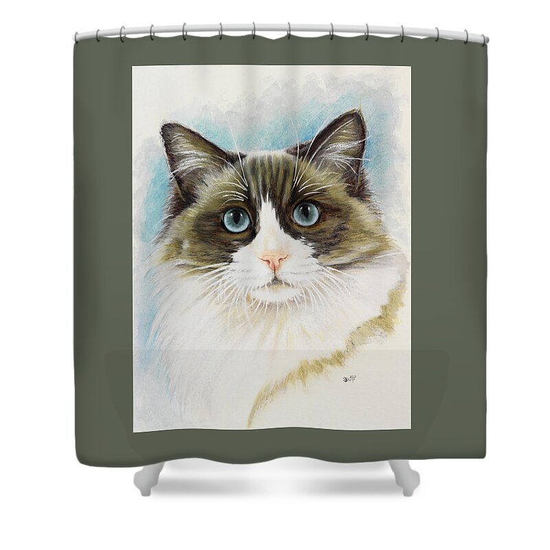 Cat Shower Curtain featuring the painting Ragdoll Portrait in Watercolor by Barbara Keith