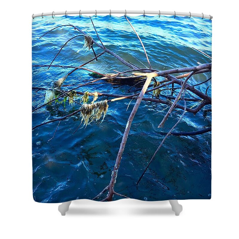 Riverside Shower Curtain featuring the photograph Raices by Carlos Avila