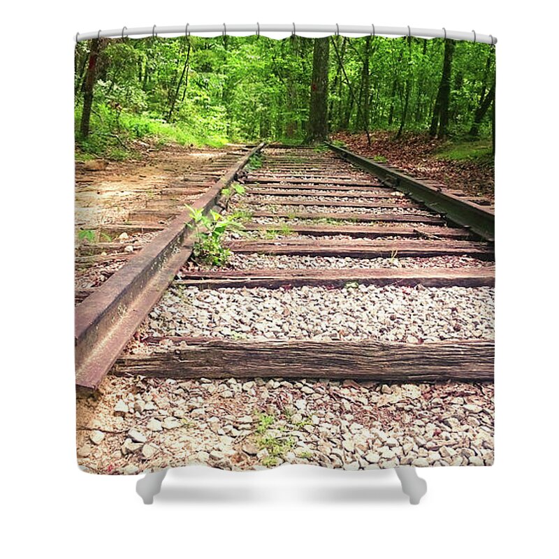 Railroad Tracks To Neverland Shower Curtain featuring the painting Railroad Tracks to Neverland by Patricia Awapara