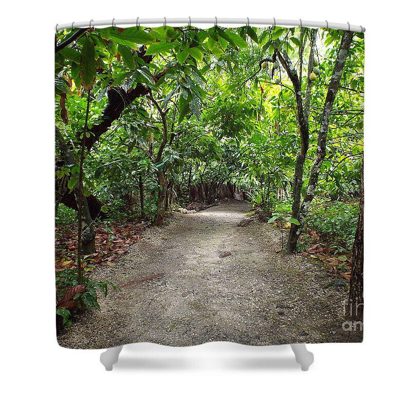 Forest Shower Curtain featuring the photograph Rain Forest Road by Barbara Von Pagel