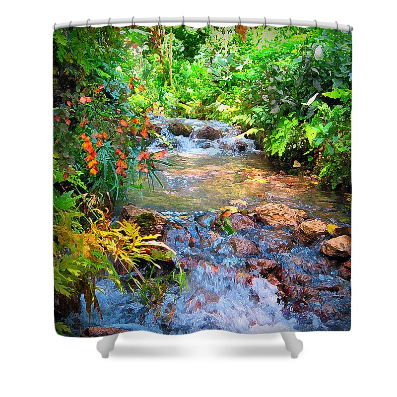 Cedric Hampton Shower Curtain featuring the photograph Rain Forest Stream by Cedric Hampton