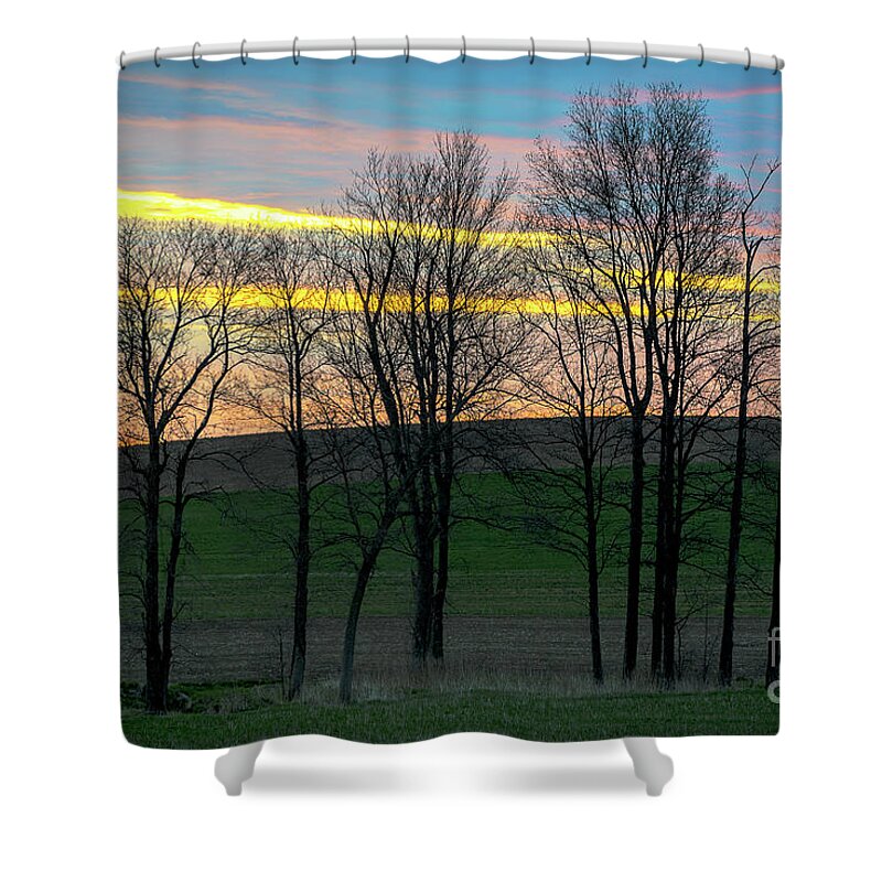 Sunrise Shower Curtain featuring the photograph Rainbow Color Tree Horizon by Joann Long