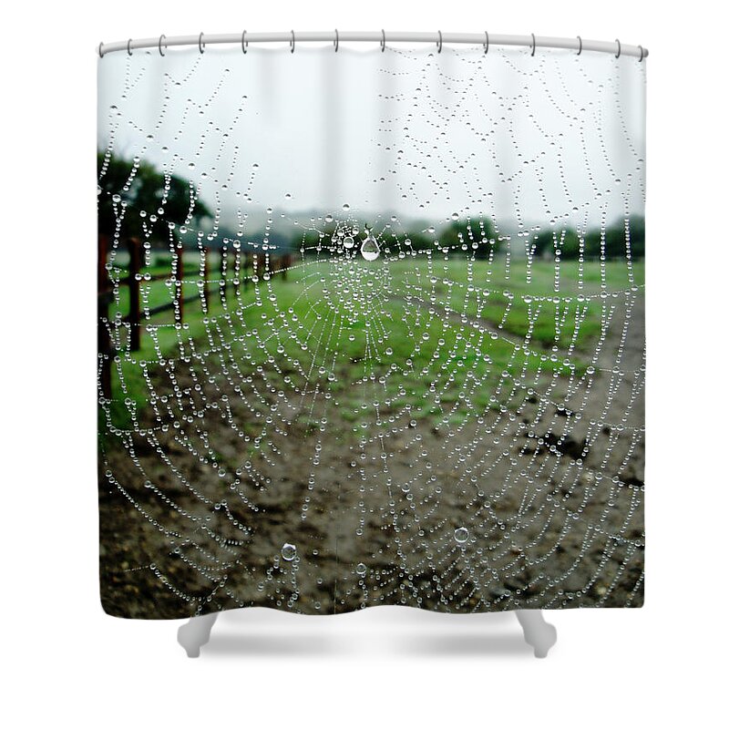 Web Shower Curtain featuring the photograph Raincatcher web by Susan Baker