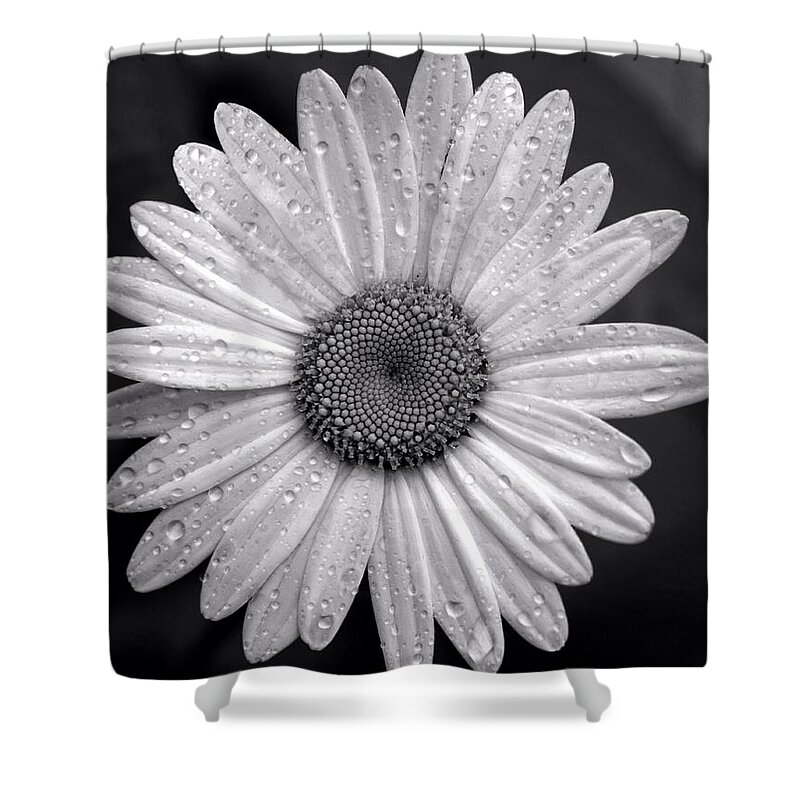 Raindrops Shower Curtain featuring the photograph Raindrops by Jackson Pearson