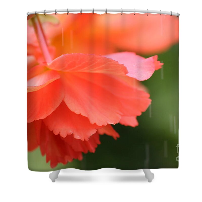Flowers Shower Curtain featuring the photograph Raindrops on Roses by Julie Lueders 