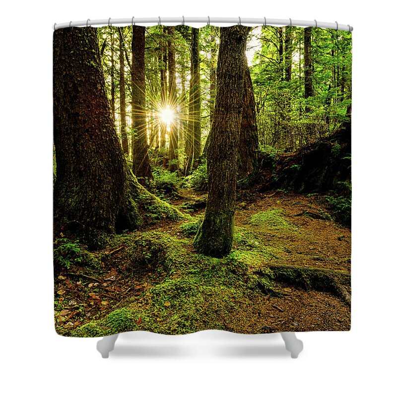 #faatoppicks Shower Curtain featuring the photograph Rainforest Path by Chad Dutson