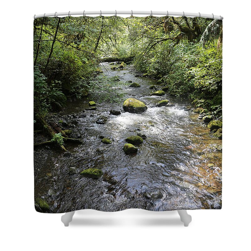 Rainforest Shower Curtain featuring the photograph Rainforest River by Carol Groenen