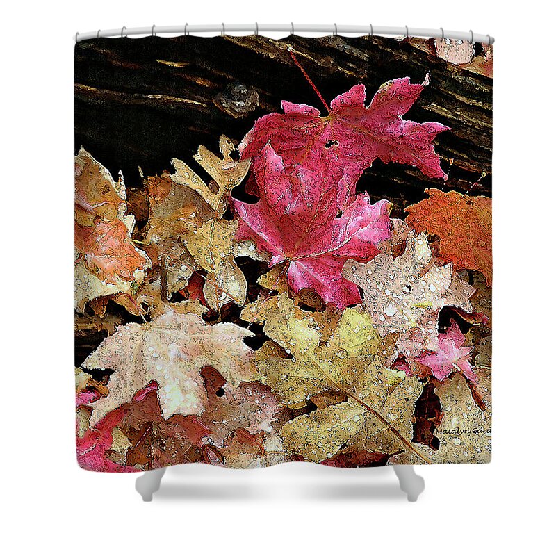 Leaves Shower Curtain featuring the photograph Rainy Day Leaves by Matalyn Gardner