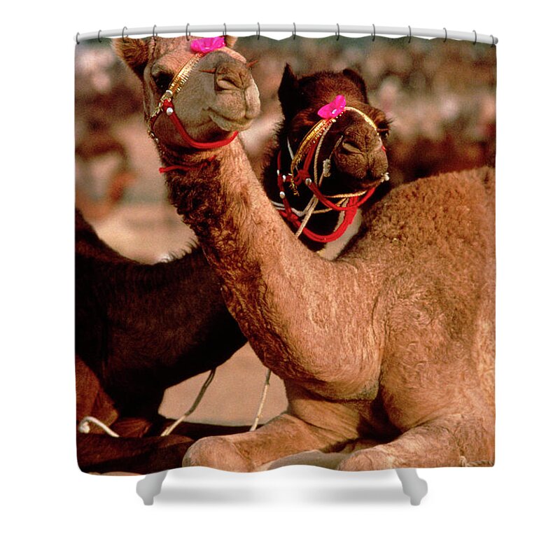 India Shower Curtain featuring the photograph Rajasthan_21-19 by Craig Lovell