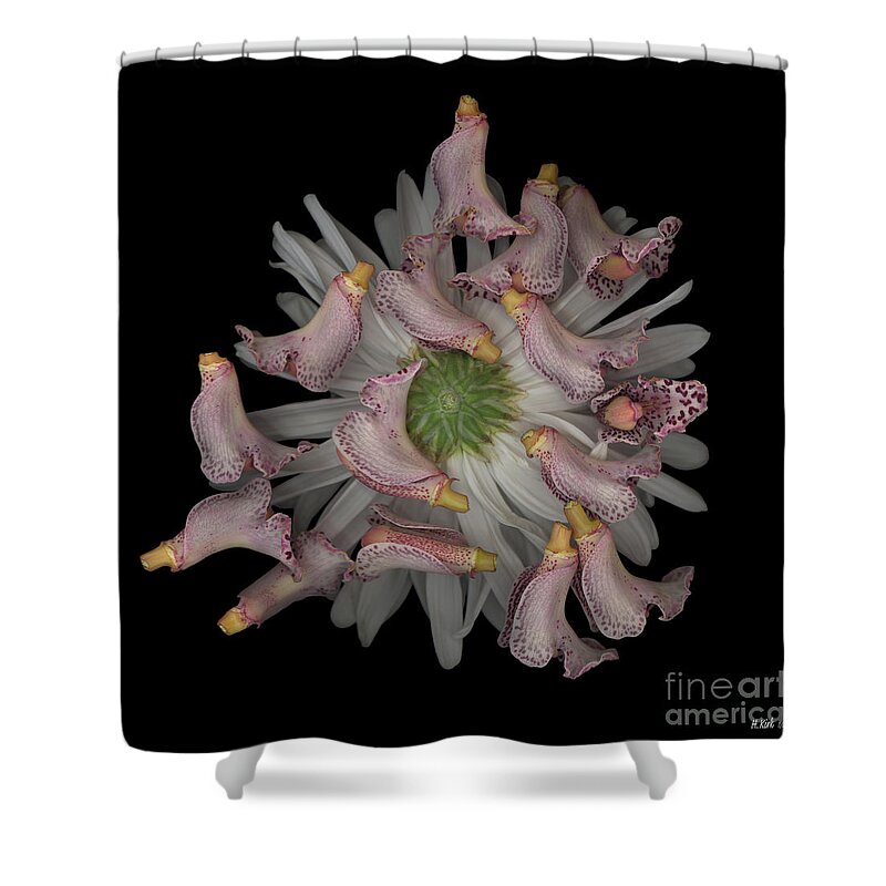  Shower Curtain featuring the photograph Random Sample by Heather Kirk