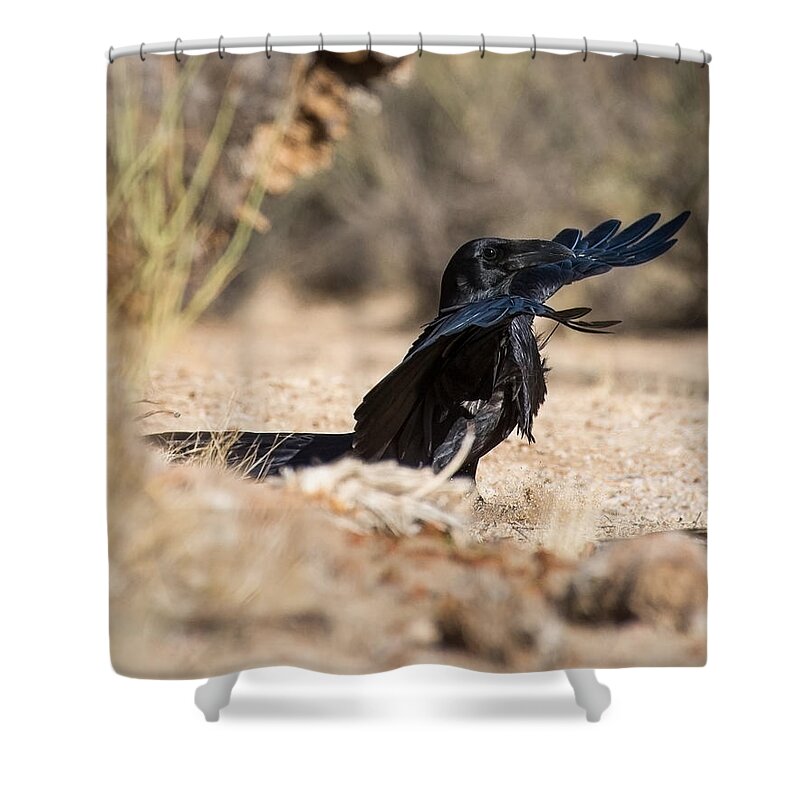 Raven Shower Curtain featuring the photograph Raven Conductor by Lisa Manifold