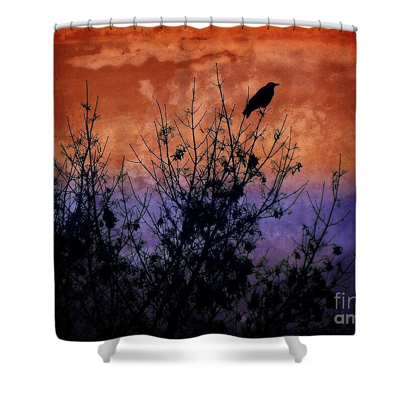 Raven Shower Curtain featuring the digital art Raven Sentinel by Dee Flouton