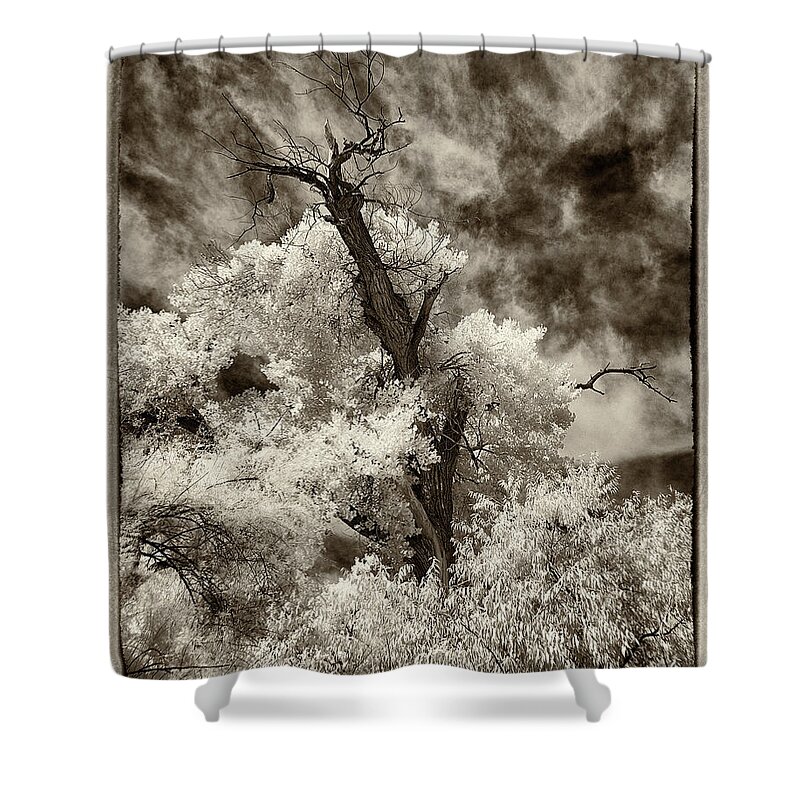 New Mexico Shower Curtain featuring the photograph Reaching for the Sky by Michael McKenney