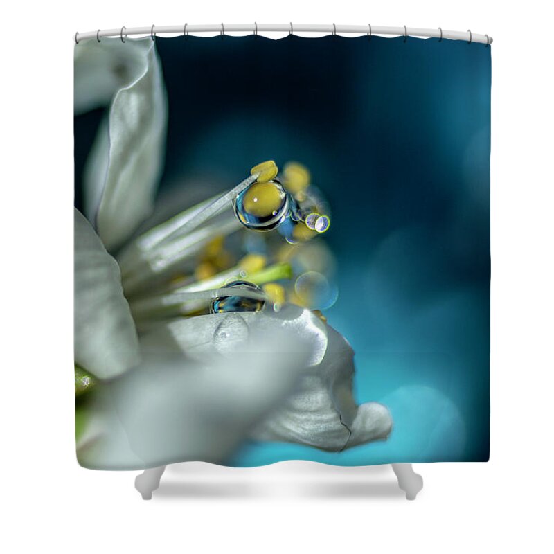 Macro Shower Curtain featuring the photograph Reaching into the Blue by Wolfgang Stocker