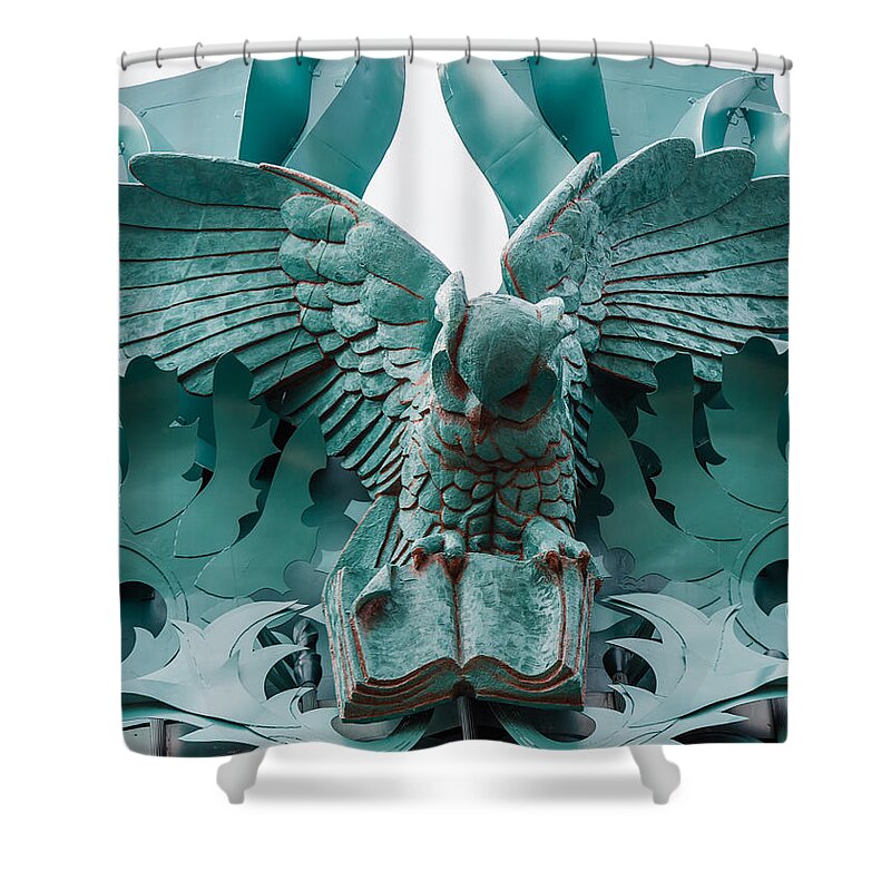 Gargoyle Shower Curtain featuring the photograph Read This by Charles McCleanon