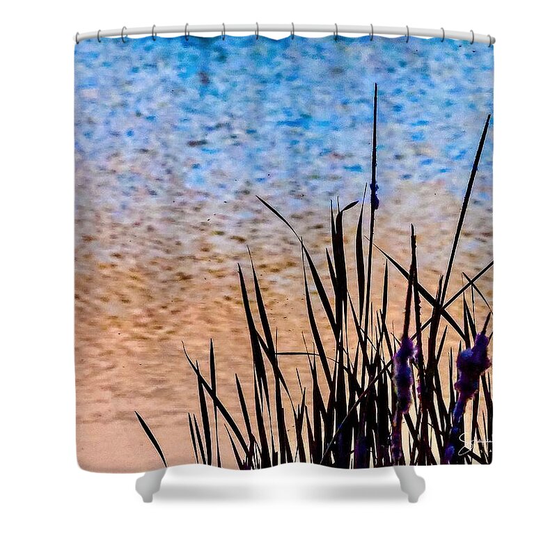 Reflection Shower Curtain featuring the photograph Reading in the Reflection by Shawn M Greener