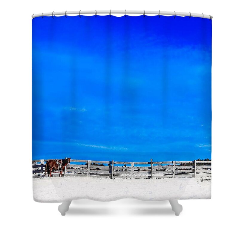 Horse Shower Curtain featuring the photograph Ready for the Day by Amanda Smith
