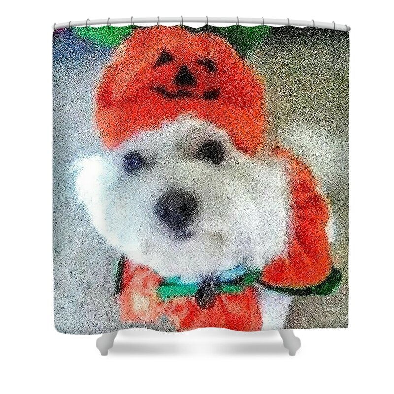 Coton De Tulear Shower Curtain featuring the photograph Really Halloween by Suzanne Berthier