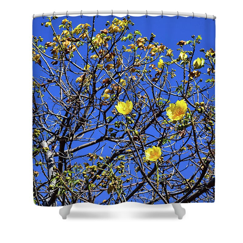 Flower Shower Curtain featuring the photograph Rebirth by Nicole Lloyd