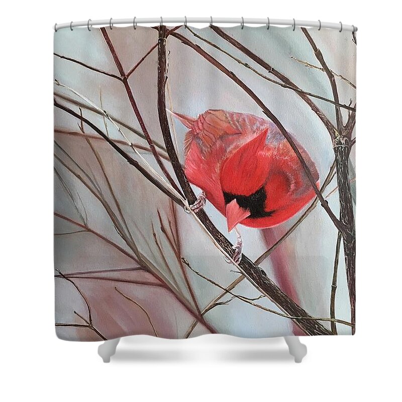 #cardinal #red #bird #feathers #nature #wildlife #landscape #trees #tree #snow #winter #birds #black #naturally #wild #canada Shower Curtain featuring the painting Red Alert by Stella Marin