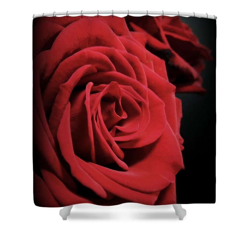 Red Shower Curtain featuring the photograph Red and Black by Renee Trenholm