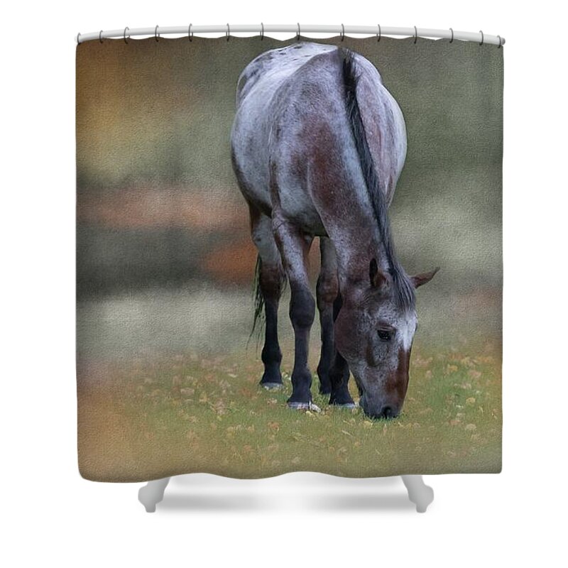 Roan Shower Curtain featuring the photograph Red And Blue Roan by Eva Lechner