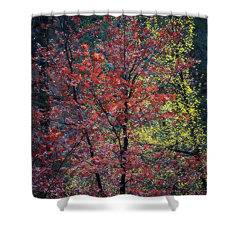 Landscape Shower Curtain featuring the photograph Red and Yellow Leaves Abstract Vertical Number 1 by Heather Kirk