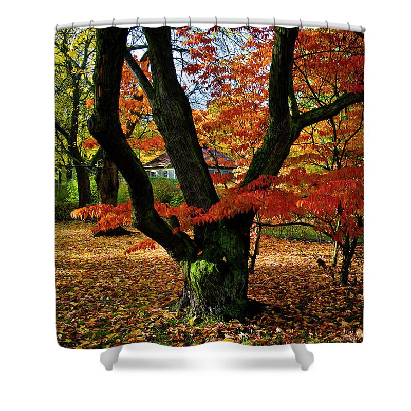 Tree Shower Curtain featuring the photograph Red Autumnal Leaves by Silva Wischeropp