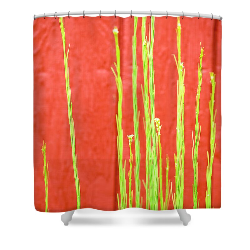 East Dover Vermont Shower Curtain featuring the photograph Red Barn Green Flowers by Tom Singleton