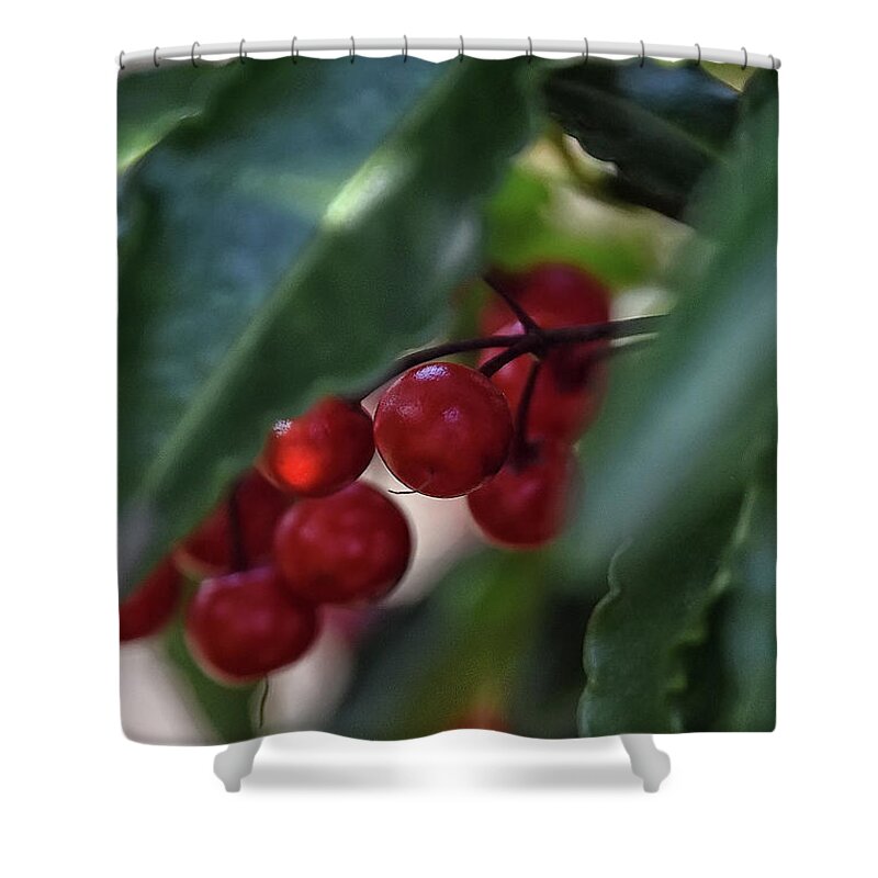 Red Shower Curtain featuring the photograph Red Berry by Kuni Photography