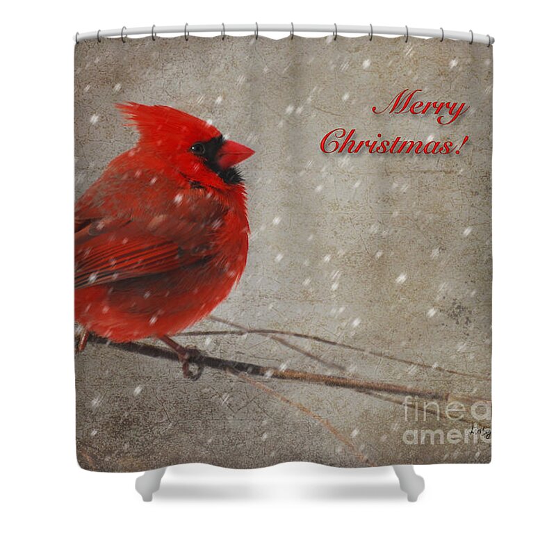 Christmas Shower Curtain featuring the photograph Red Bird In Snow Christmas Card by Lois Bryan
