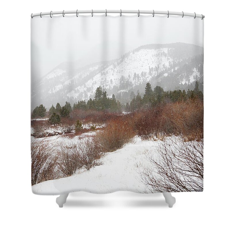 White Shower Curtain featuring the photograph Red Brush by Marilyn Hunt