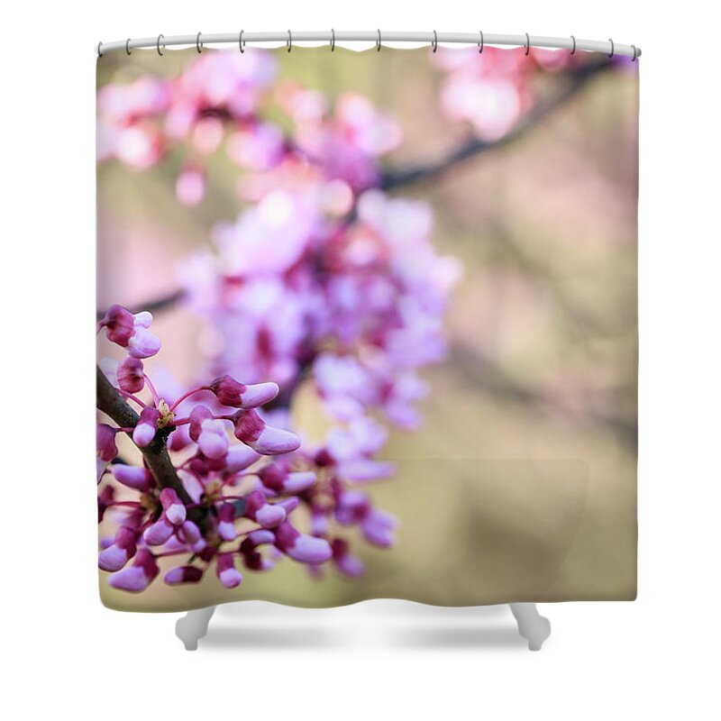 Illinois Shower Curtain featuring the photograph Red Bud Booties by Joni Eskridge