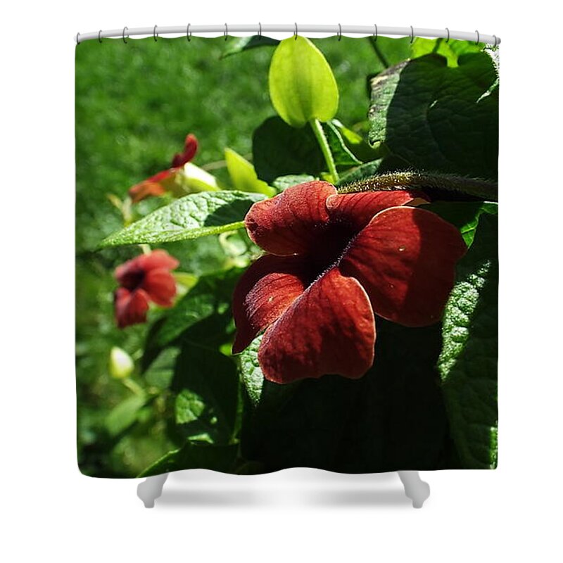 Red Flower Shower Curtain featuring the photograph Red Bud by Sarah Reed