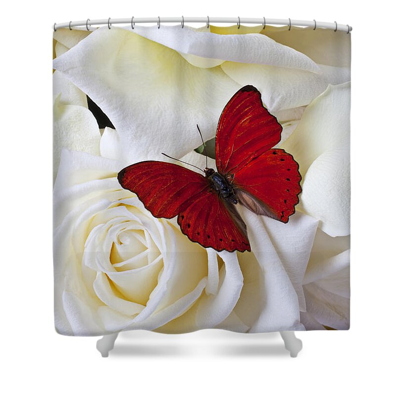 Red Shower Curtain featuring the photograph Red butterfly on white roses by Garry Gay