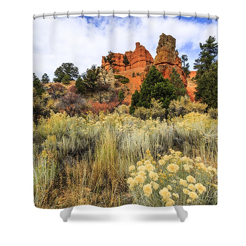 Red Canyon Shower Curtain featuring the photograph Red Canyon Area Utah by Ben Graham